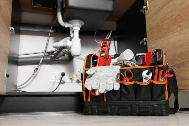 Best Local Plumber Services  in Marquette Heights, IL
