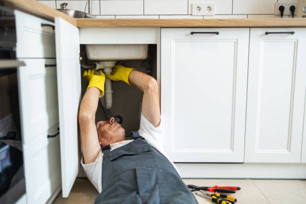 Best Septic Systems  in Marquette Heights, IL