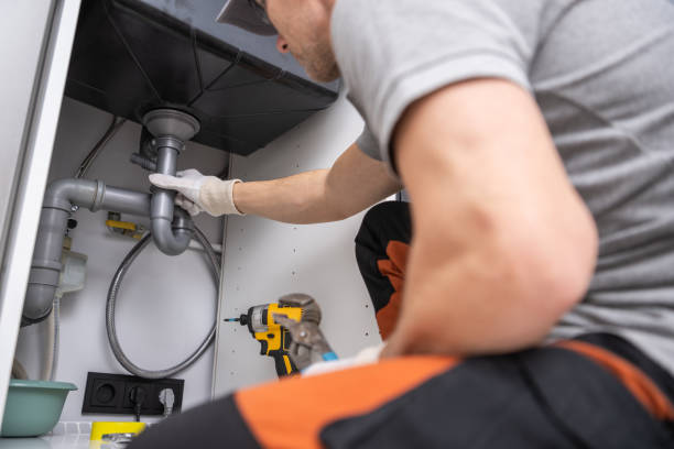 Best Residential Plumbing Services  in Marquette Heights, IL