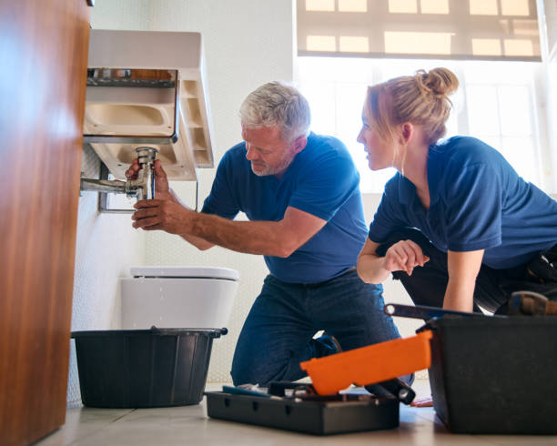 Best Plumbing Services Near Me  in Marquette Heights, IL